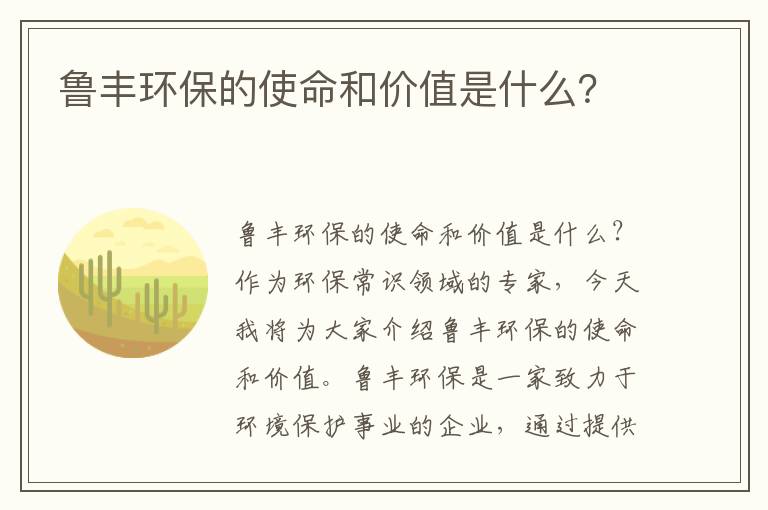 魯豐環(huán)保的使命和價(jià)值是什么？