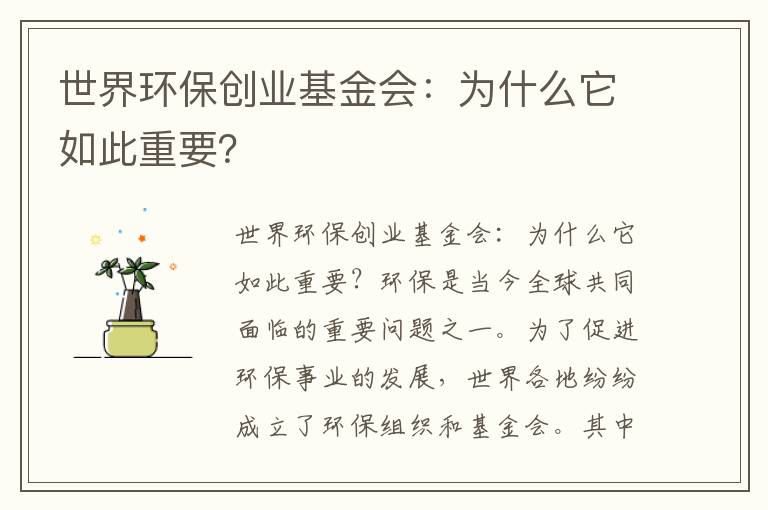 世界環(huán)保創(chuàng  )業(yè)基金會(huì )：為什么它如此重要？