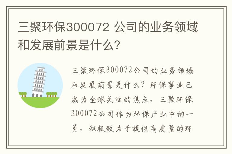 三聚環(huán)保300072 公司的業(yè)務(wù)領(lǐng)域和發(fā)展前景是什么？