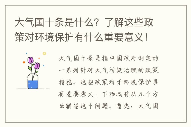 大氣國十條是什么？了解這些政策對環(huán)境保護有什么重要意義！