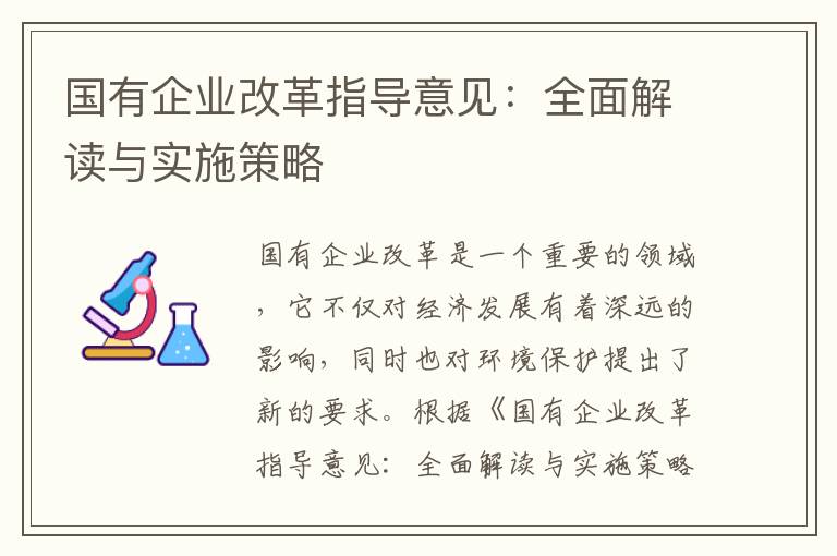 國有企業(yè)改革指導意見(jiàn)：全面解讀與實(shí)施策略