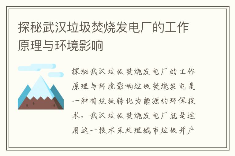 探秘武漢垃圾焚燒發(fā)電廠(chǎng)的工作原理與環(huán)境影響