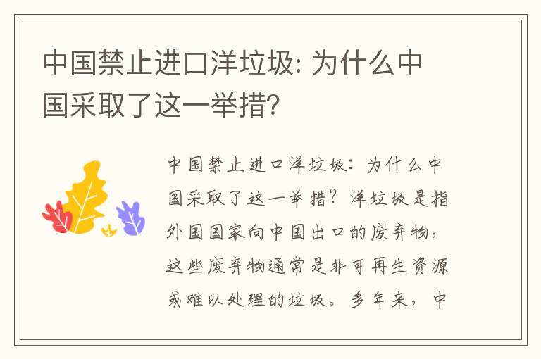 中國禁止進(jìn)口洋垃圾: 為什么中國采取了這一舉措？