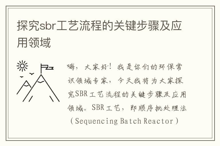 探究sbr工藝流程的關(guān)鍵步驟及應用領(lǐng)域