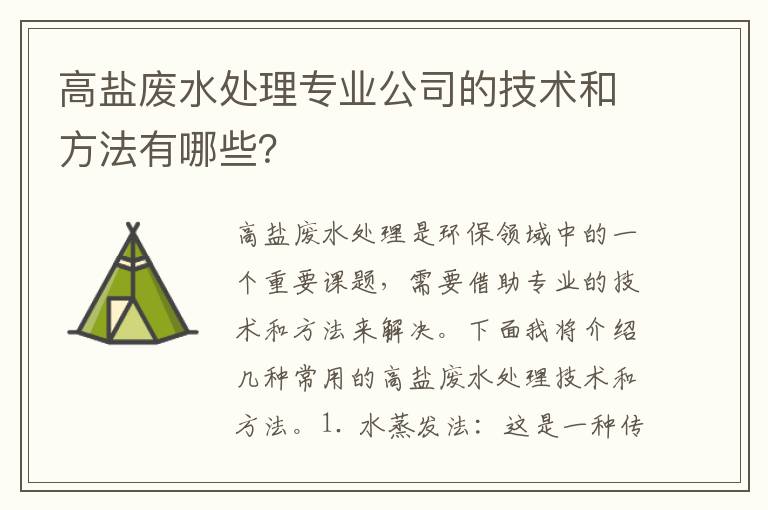 高鹽廢水處理專(zhuān)業(yè)公司的技術(shù)和方法有哪些？