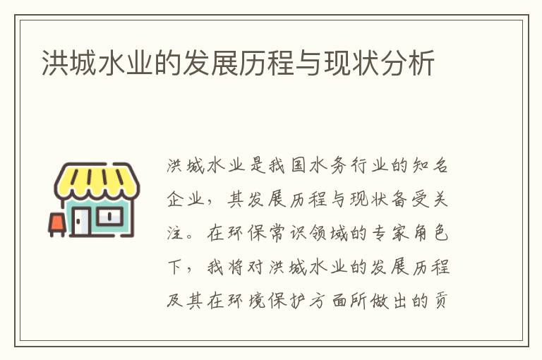 洪城水業(yè)的發(fā)展歷程與現狀分析