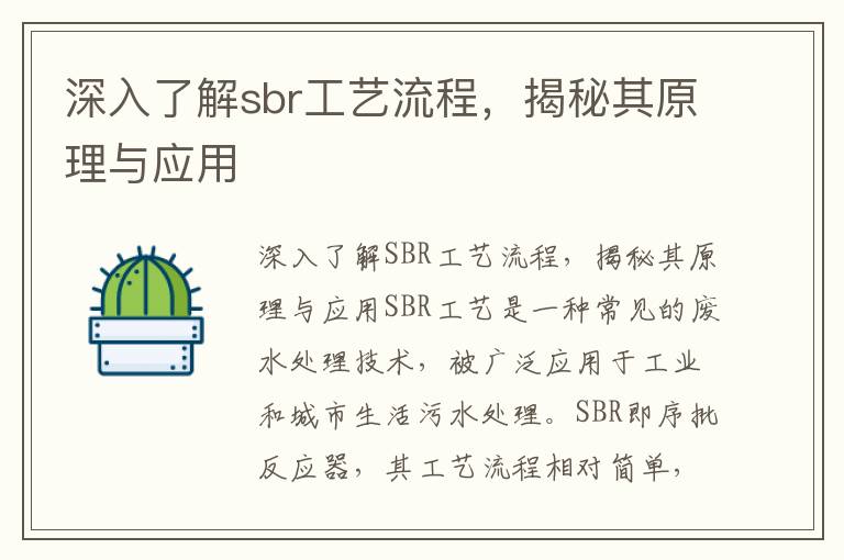 深入了解sbr工藝流程，揭秘其原理與應用