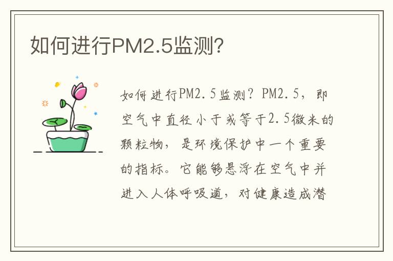 如何進(jìn)行PM2.5監測？