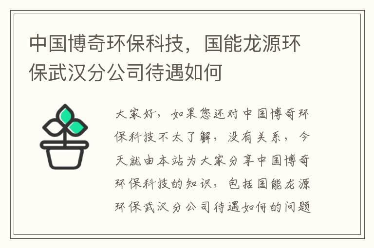 中國博奇環(huán)保科技，國能龍源環(huán)保武漢分公司待遇如何