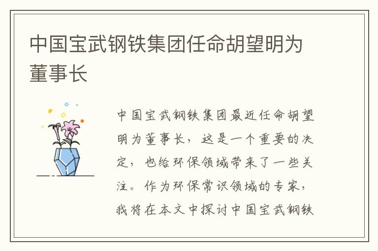 中國寶武鋼鐵集團任命胡望明為董事長(cháng)