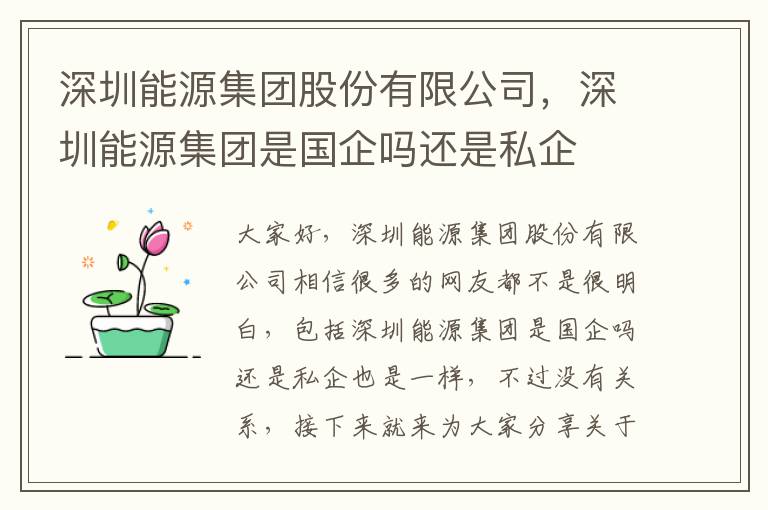 深圳能源集團股份有限公司，深圳能源集團是國企嗎還是私企