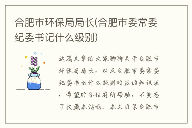 合肥市環(huán)保局局長(cháng)(合肥市委常委紀委書(shū)記什么級別)