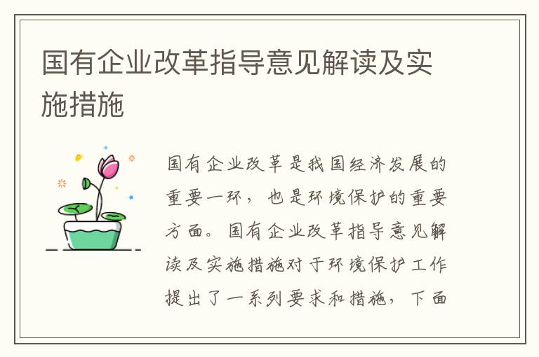 國有企業(yè)改革指導意見(jiàn)解讀及實(shí)施措施