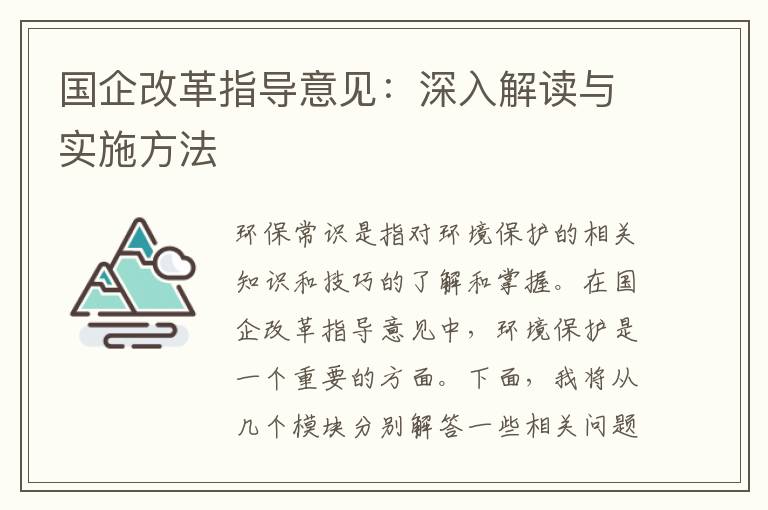 國企改革指導意見(jiàn)：深入解讀與實(shí)施方法