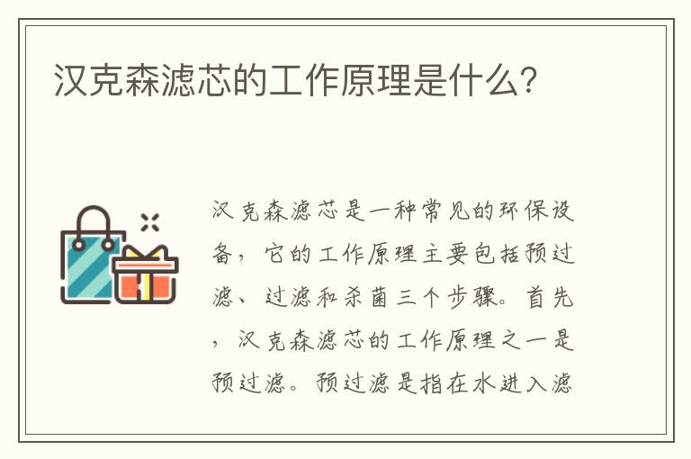 漢克森濾芯的工作原理是什么？