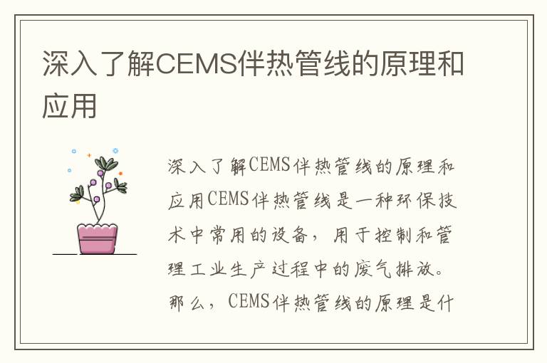 深入了解CEMS伴熱管線(xiàn)的原理和應用