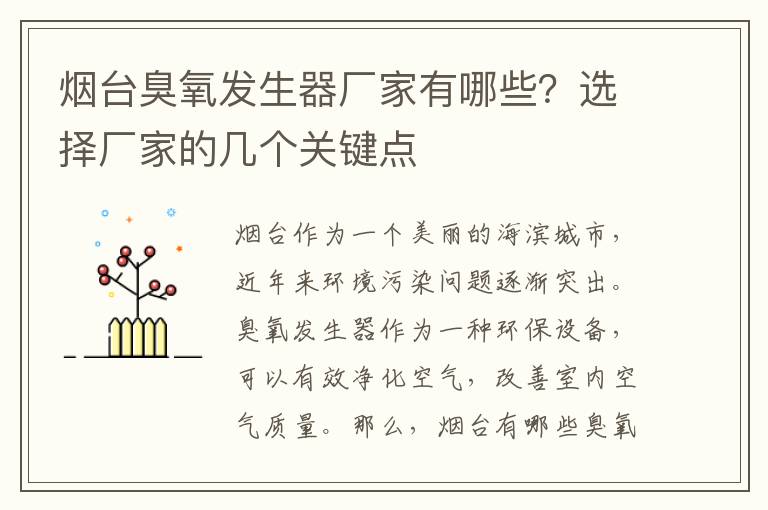 煙臺臭氧發(fā)生器廠(chǎng)家有哪些？選擇廠(chǎng)家的幾個(gè)關(guān)鍵點(diǎn)