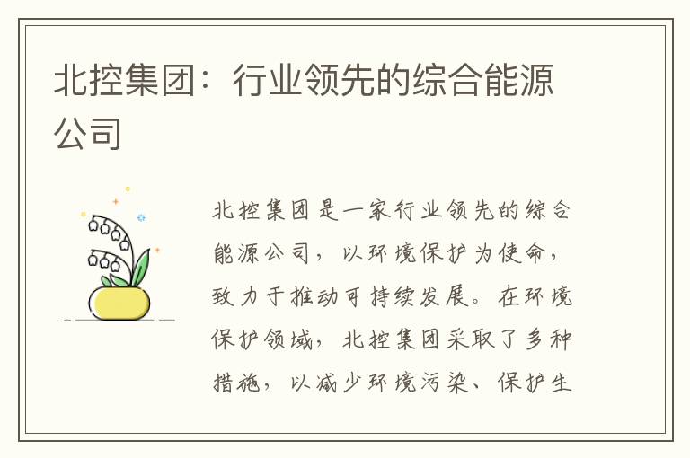 北控集團：行業(yè)領(lǐng)先的綜合能源公司